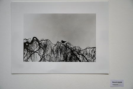 Odprtje fotografske razstave Meje (9)